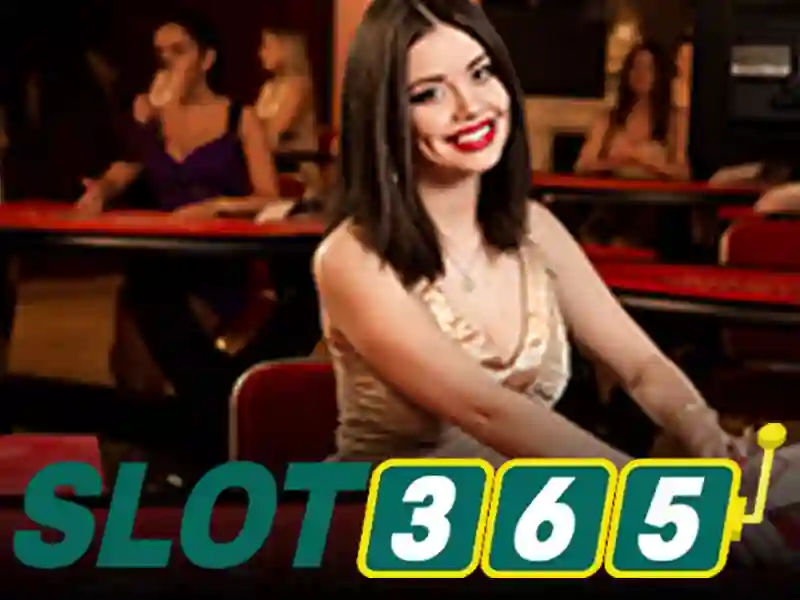 Slot365: Đánh giá tổng quan và trải nghiệm người dùng