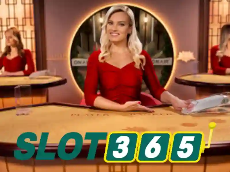 slot365 - Khám phá nền tảng casino trực tuyến hàng đầu