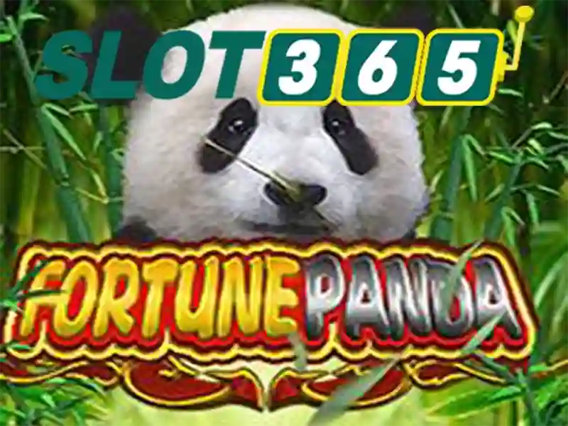 Chi tiết điều khoản điều kiện tại Slot365