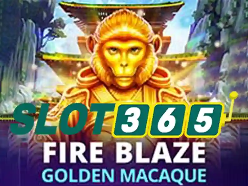 Ưa điểm và sức cạnh tranh Slot365 uy tín không\n<h2><b>Trải nghiệm người dùng và phản hồi cộng đồng</b></h2>\n<p><span style=