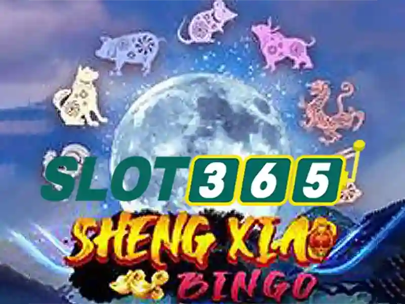 Người chơi đang sử dụng ứng dụng slot365 với tâm lý thoải mái và có kiểm soát